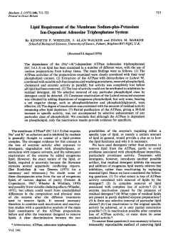 Lipid Requirement of the Membrane Sodium-plus
