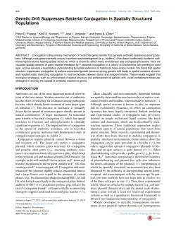 Genetic Drift Suppresses Bacterial Conjugation in Spatially