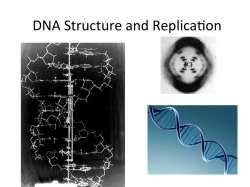 DNA Structure and Replica:on