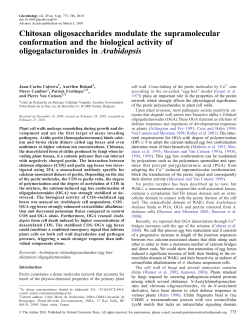 Chitosan oligosaccharides modulate the