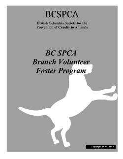 Foster Program Manual