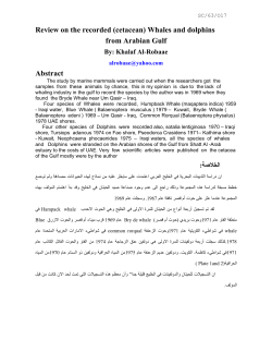 Review on the recorded (cetacean) Whales and dolphins from