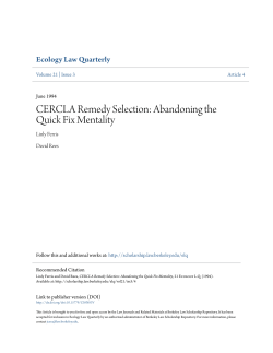 CERCLA Remedy Selection: Abandoning the Quick Fix Mentality