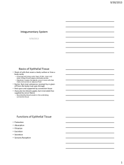 Integumentary System Basics of Epithelial Tissue
