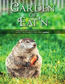 HOMEOWNERS CAN COEXIST WITH WILDLIFE
