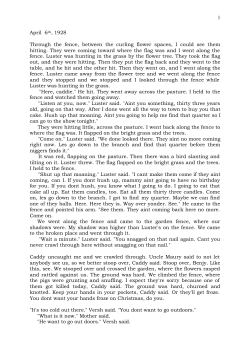 1 April 6th, 1928 Through the fence, between the curling flower