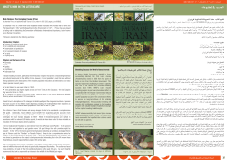 k色猟蒠 QO蒮 A扫  /title> head><body bgcolor=#ffffff vlink="blue