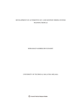 DEVELOPMENT OF AUTOMOTIVE ECU AND IGNITION WIRING