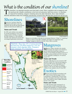 2010 Shoreline Condition