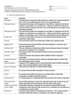 Analyzing the processes of DNA Replication