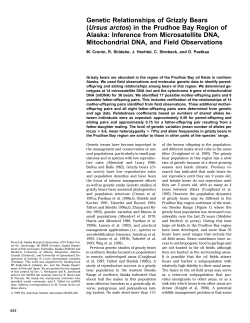 Genetic Relationships of Grizzly Bears (Ursus arctos) in the Prudhoe