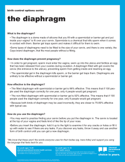 the diaphragm