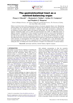 The gastrointestinal tract as a nutrient