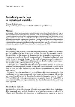 Periodical growth rings in cephalopod statoliths
