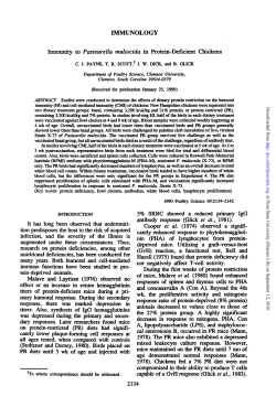 IMMUNOLOGY Immunity to Pasteurella multocida in Protein