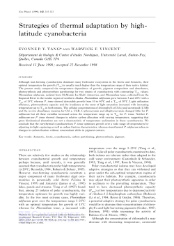 Strategies of thermal adaptation by high