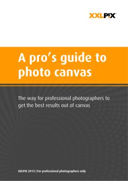 A pro`s guide to photo canvas