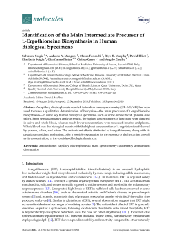 Full-Text PDF