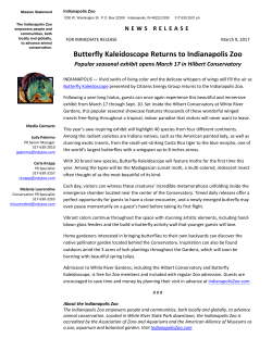 Butterfly Kaleidoscope 2017