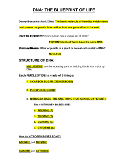 DNA: THE BLUEPRINT OF LIFE