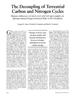 The Decoupling of Terrestrial Carbon and Nitrogen Cycles