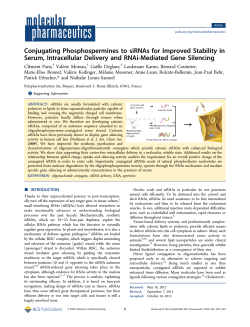 Conjugating Phosphospermines to siRNAs for
