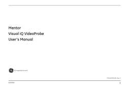 Mentor Visual iQ VideoProbe User`s Manual