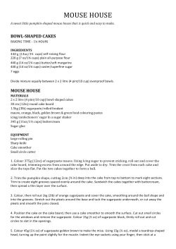 mouse house - Murdoch books