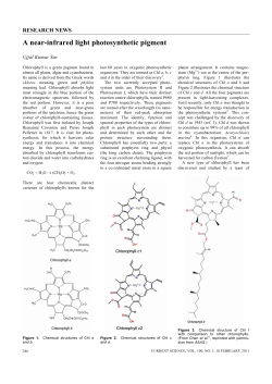 A near-infrared light photosynthetic pigment