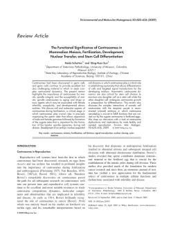 The functional significance of centrosomes in mammalian meiosis
