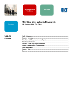 Thin Client Virus Vulnerability Analysis