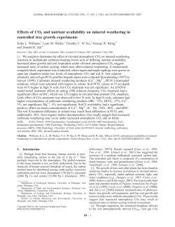 Effects of CO2 and nutrient availability on mineral weathering in