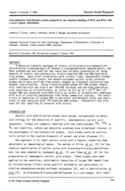 Non-radioactive hybridization probes prepared by the chemical