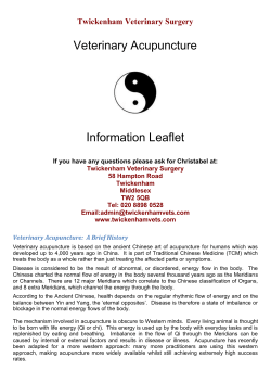 here - Twickenham Veterinary Surgery