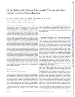 On the Relationship Between Joint Angular Velocity and Motor