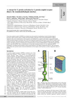 A concept for G protein activation by G protein