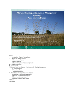 Mariana Grazing and Livestock Management Academy Plant Growth