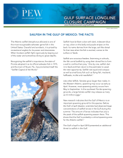 SailfiSh in the Gulf of Mexico: the factS