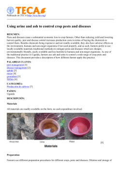 Using urine and ash to control crop pests and diseases - TECA