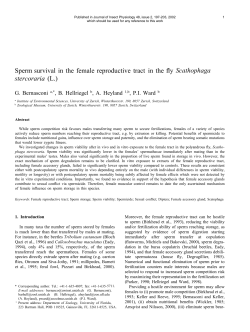Sperm survival in the female reproductive tract in the fly