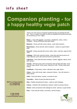 Companion planting