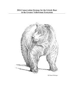 2016 Conservation Strategy for the Grizzly Bear in the Greater