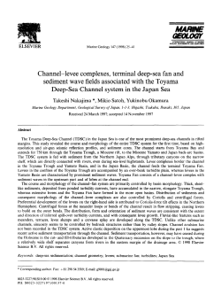 Channel-levee complexes, terminal deep-sea fan and