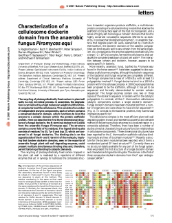 letters letters Characterization of a cellulosome dockerin domain