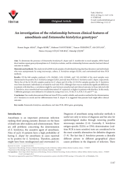 An investigation of the relationship between