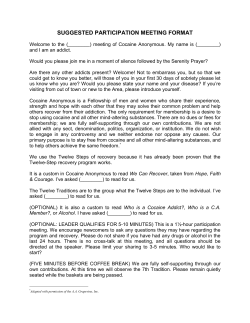 suggested participation meeting format