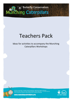 Teachers Pack - Munching Caterpillars