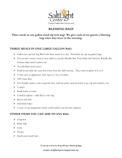blessing bags - Family Promise of Gwinnett County