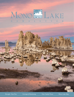 2016 Summer Mono Lake Newsletter