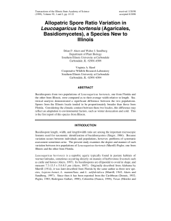 Allopatric Spore Ratio Variation in Leucoagaricus hortensis